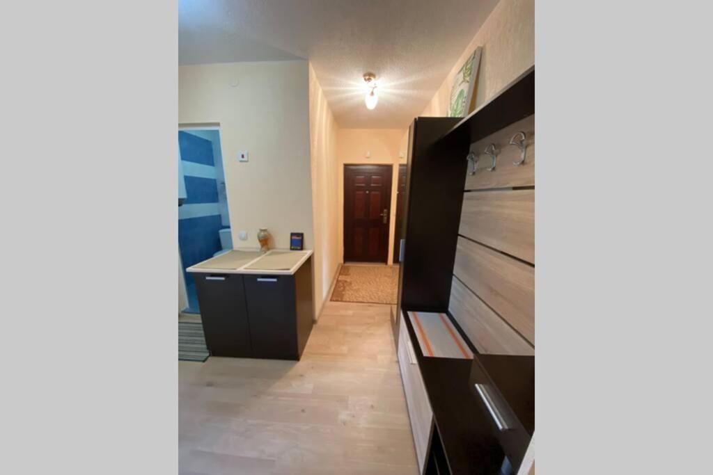 Sunny Apartment By The River ساندانسكي المظهر الخارجي الصورة
